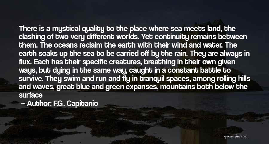 F.G. Capitanio Quotes: There Is A Mystical Quality To The Place Where Sea Meets Land, The Clashing Of Two Very Different Worlds. Yet