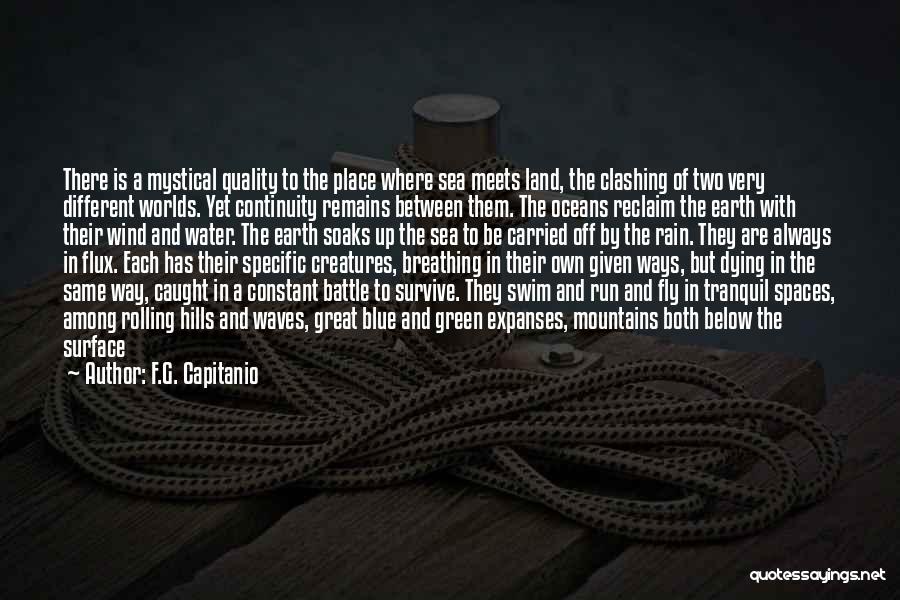 F.G. Capitanio Quotes: There Is A Mystical Quality To The Place Where Sea Meets Land, The Clashing Of Two Very Different Worlds. Yet