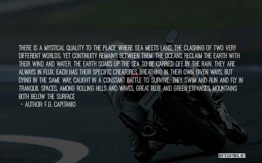 F.G. Capitanio Quotes: There Is A Mystical Quality To The Place Where Sea Meets Land, The Clashing Of Two Very Different Worlds. Yet