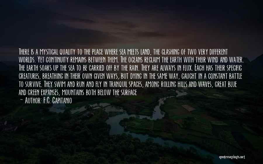 F.G. Capitanio Quotes: There Is A Mystical Quality To The Place Where Sea Meets Land, The Clashing Of Two Very Different Worlds. Yet