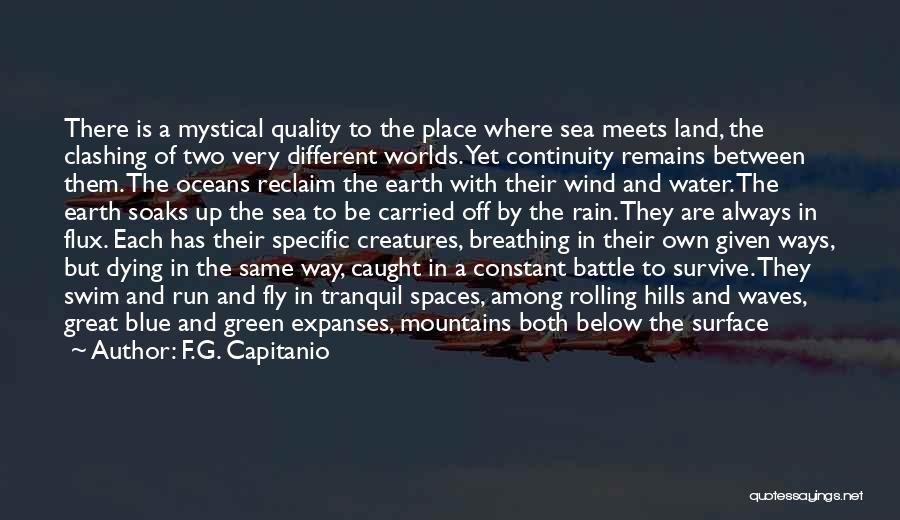 F.G. Capitanio Quotes: There Is A Mystical Quality To The Place Where Sea Meets Land, The Clashing Of Two Very Different Worlds. Yet