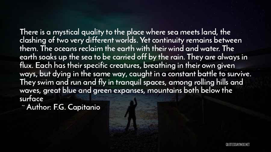 F.G. Capitanio Quotes: There Is A Mystical Quality To The Place Where Sea Meets Land, The Clashing Of Two Very Different Worlds. Yet