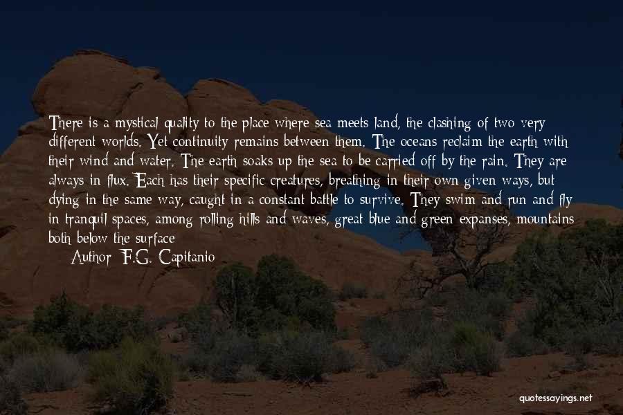 F.G. Capitanio Quotes: There Is A Mystical Quality To The Place Where Sea Meets Land, The Clashing Of Two Very Different Worlds. Yet