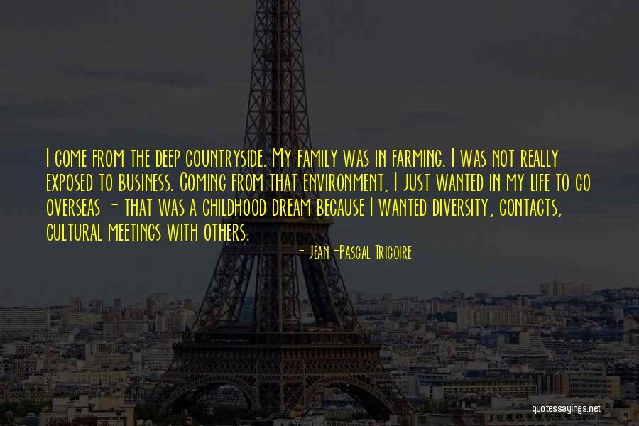 100gb Quotes By Jean-Pascal Tricoire 100gb Quotes By Jean-Pascal Tricoire