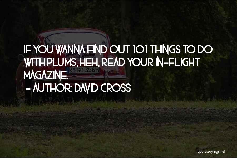 101.9 Quotes By David Cross