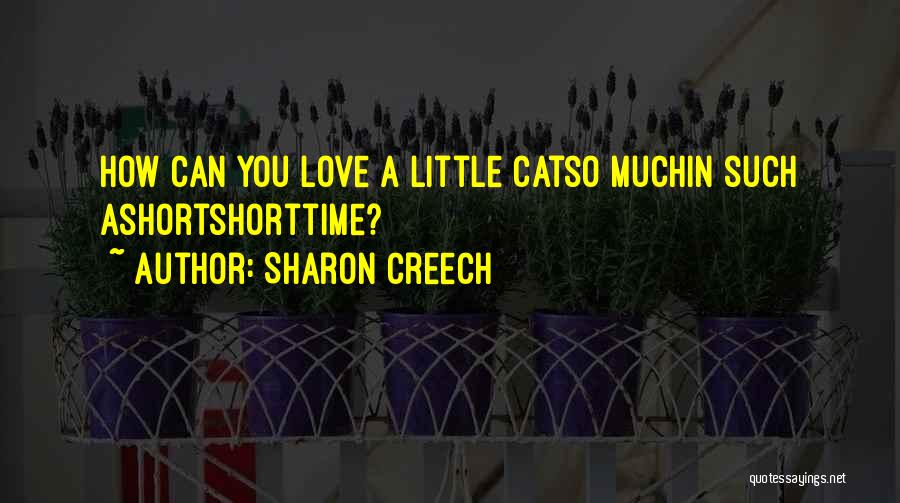 Sharon Creech Quotes: How Can You Love A Little Catso Muchin Such Ashortshorttime?