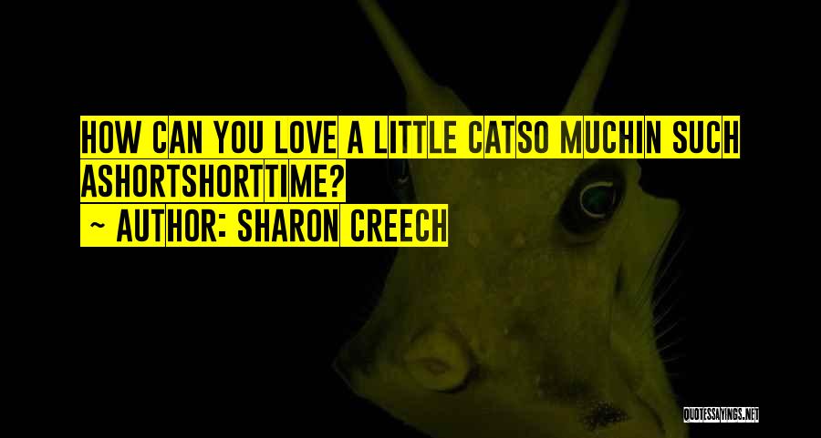 Sharon Creech Quotes: How Can You Love A Little Catso Muchin Such Ashortshorttime?