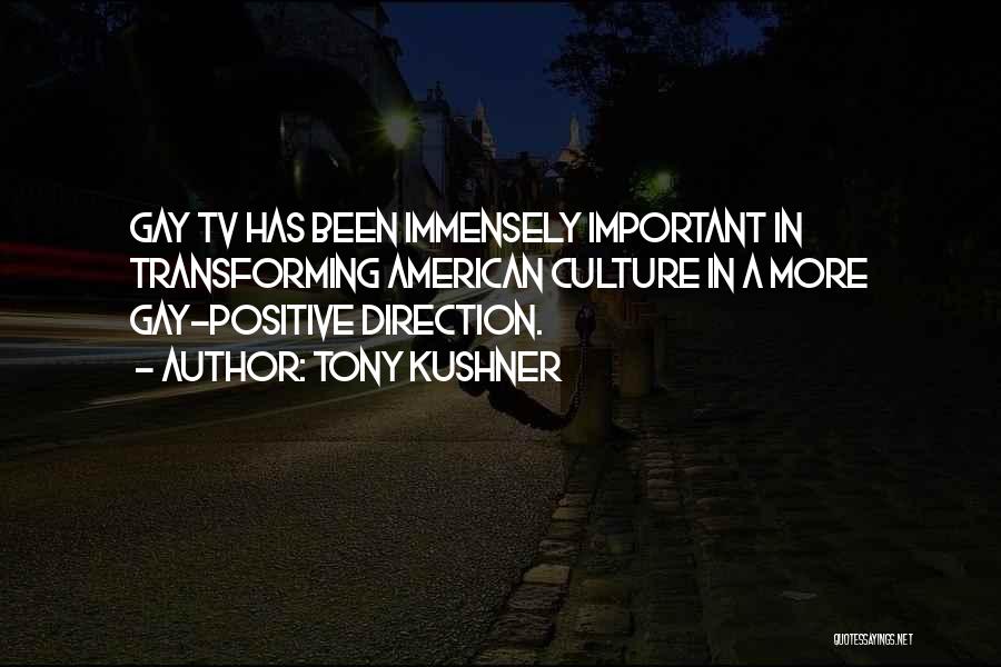 Tony Kushner Quotes: Gay Tv Has Been Immensely Important In Transforming American Culture In A More Gay-positive Direction.