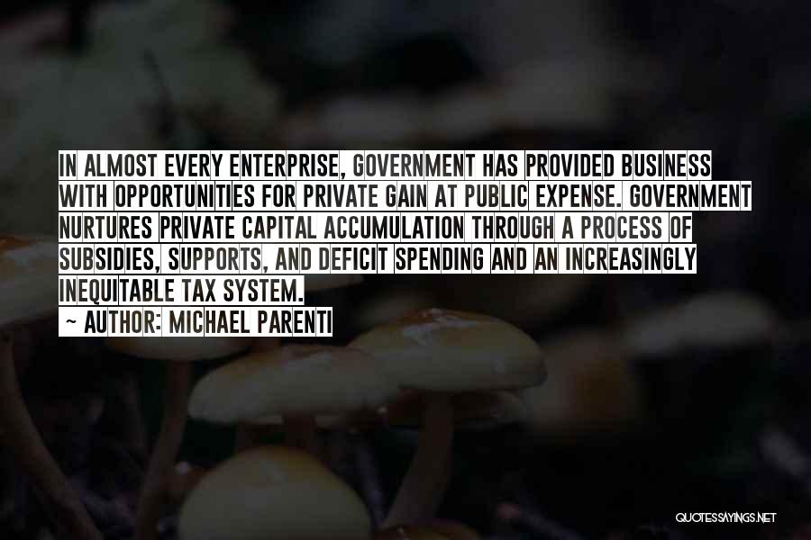 Michael Parenti Quotes: In Almost Every Enterprise, Government Has Provided Business With Opportunities For Private Gain At Public Expense. Government Nurtures Private Capital