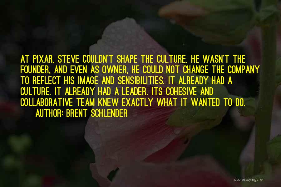 Brent Schlender Quotes: At Pixar, Steve Couldn't Shape The Culture. He Wasn't The Founder, And Even As Owner, He Could Not Change The