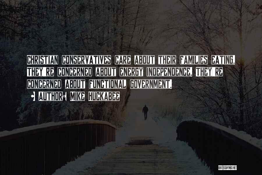 Mike Huckabee Quotes: Christian Conservatives Care About Their Families Eating. They're Concerned About Energy Independence. They're Concerned About Functional Government.