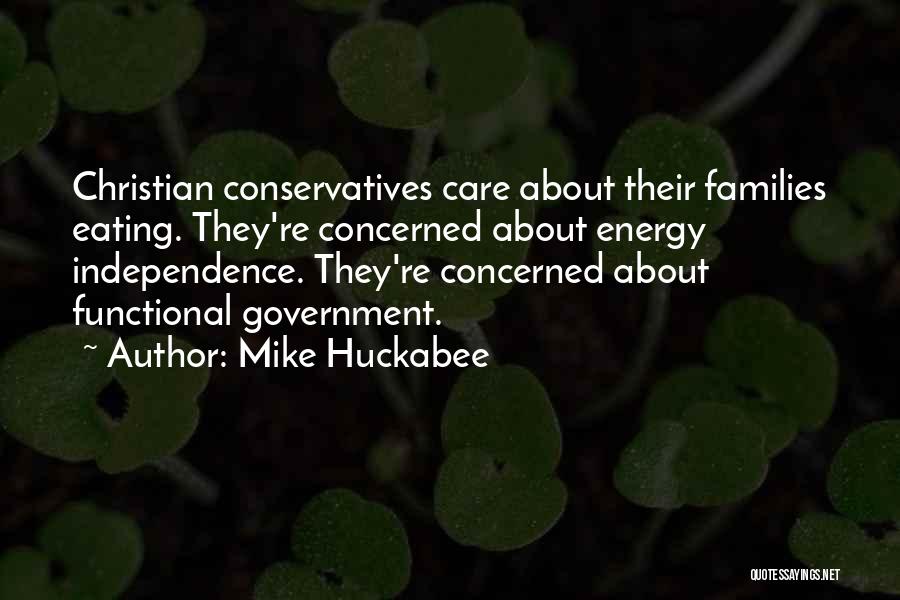 Mike Huckabee Quotes: Christian Conservatives Care About Their Families Eating. They're Concerned About Energy Independence. They're Concerned About Functional Government.