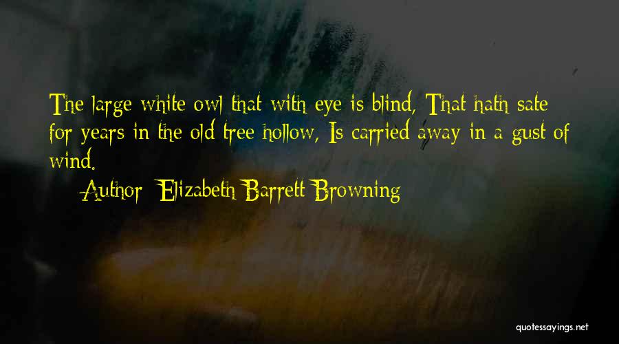 Elizabeth Barrett Browning Quotes: The Large White Owl That With Eye Is Blind, That Hath Sate For Years In The Old Tree Hollow, Is