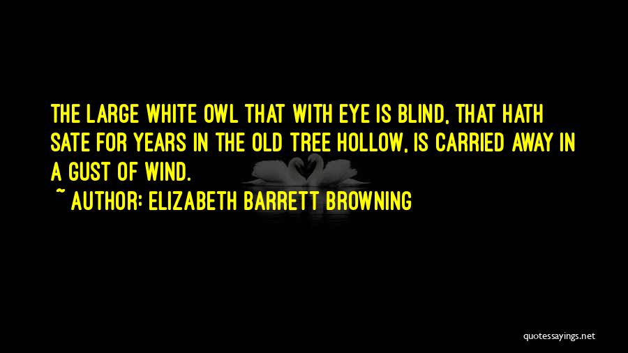 Elizabeth Barrett Browning Quotes: The Large White Owl That With Eye Is Blind, That Hath Sate For Years In The Old Tree Hollow, Is