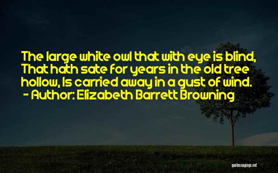 Elizabeth Barrett Browning Quotes: The Large White Owl That With Eye Is Blind, That Hath Sate For Years In The Old Tree Hollow, Is