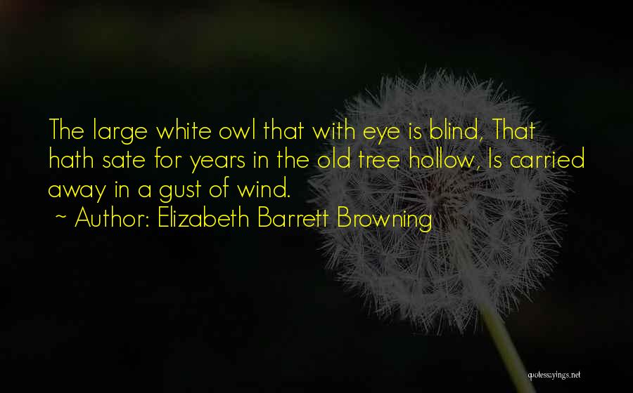 Elizabeth Barrett Browning Quotes: The Large White Owl That With Eye Is Blind, That Hath Sate For Years In The Old Tree Hollow, Is
