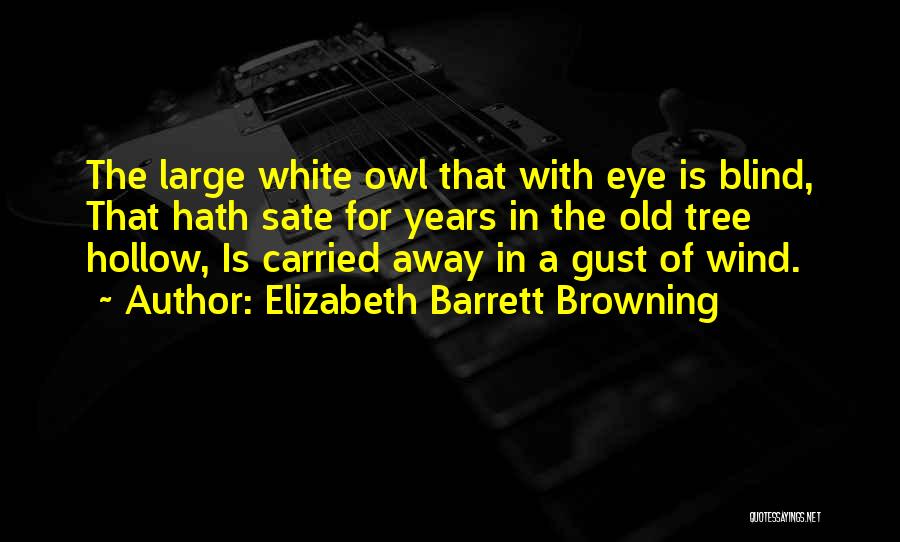 Elizabeth Barrett Browning Quotes: The Large White Owl That With Eye Is Blind, That Hath Sate For Years In The Old Tree Hollow, Is