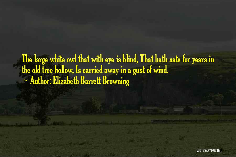 Elizabeth Barrett Browning Quotes: The Large White Owl That With Eye Is Blind, That Hath Sate For Years In The Old Tree Hollow, Is