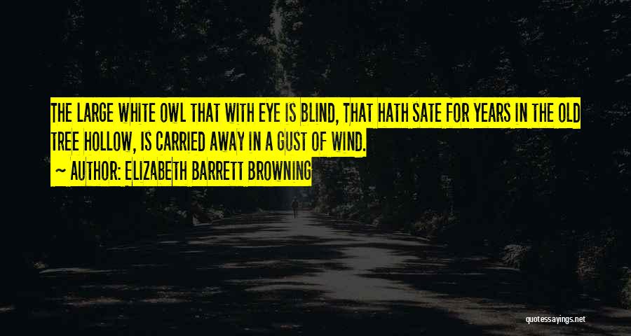 Elizabeth Barrett Browning Quotes: The Large White Owl That With Eye Is Blind, That Hath Sate For Years In The Old Tree Hollow, Is