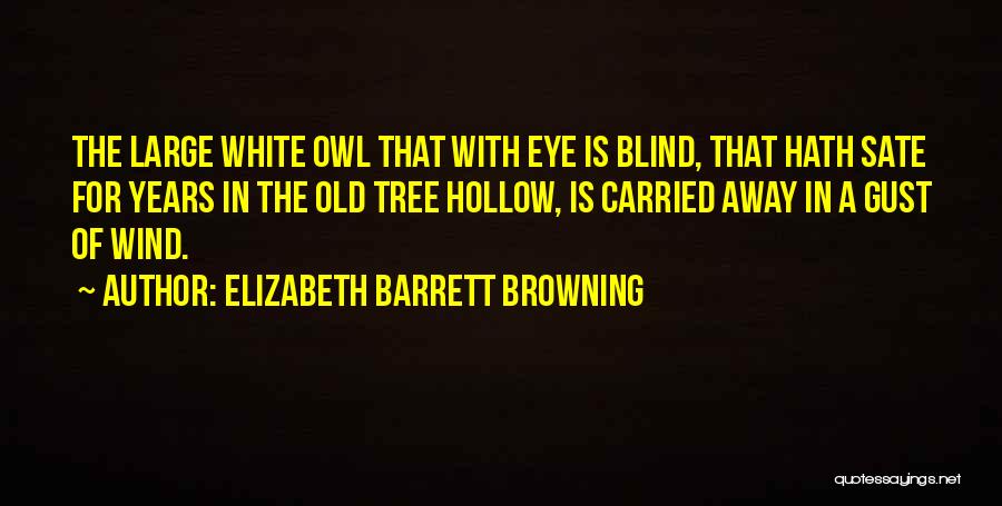 Elizabeth Barrett Browning Quotes: The Large White Owl That With Eye Is Blind, That Hath Sate For Years In The Old Tree Hollow, Is