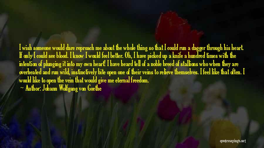 Johann Wolfgang Von Goethe Quotes: I Wish Someone Would Dare Reproach Me About The Whole Thing So That I Could Run A Dagger Through His