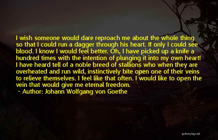 Johann Wolfgang Von Goethe Quotes: I Wish Someone Would Dare Reproach Me About The Whole Thing So That I Could Run A Dagger Through His