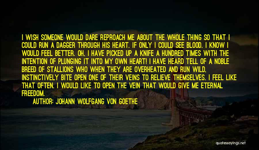 Johann Wolfgang Von Goethe Quotes: I Wish Someone Would Dare Reproach Me About The Whole Thing So That I Could Run A Dagger Through His