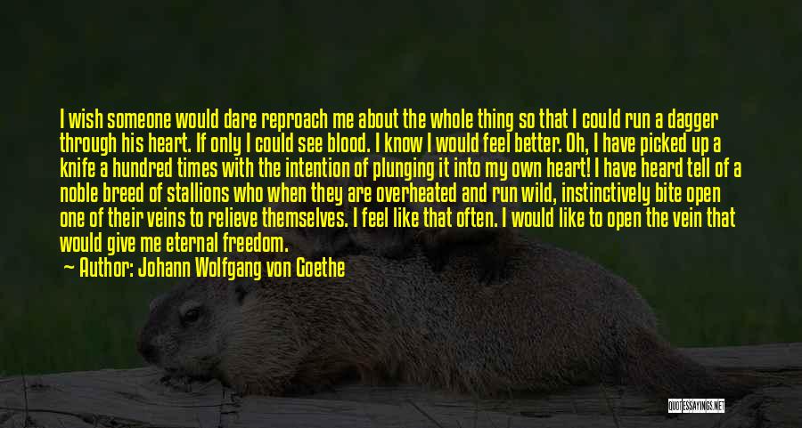 Johann Wolfgang Von Goethe Quotes: I Wish Someone Would Dare Reproach Me About The Whole Thing So That I Could Run A Dagger Through His