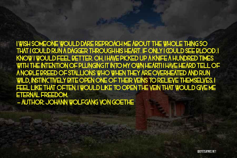 Johann Wolfgang Von Goethe Quotes: I Wish Someone Would Dare Reproach Me About The Whole Thing So That I Could Run A Dagger Through His