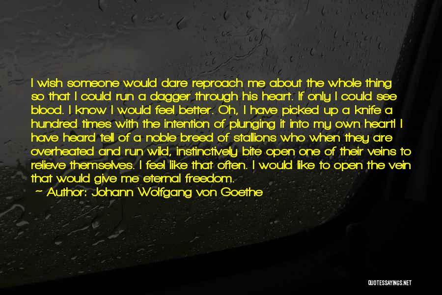 Johann Wolfgang Von Goethe Quotes: I Wish Someone Would Dare Reproach Me About The Whole Thing So That I Could Run A Dagger Through His