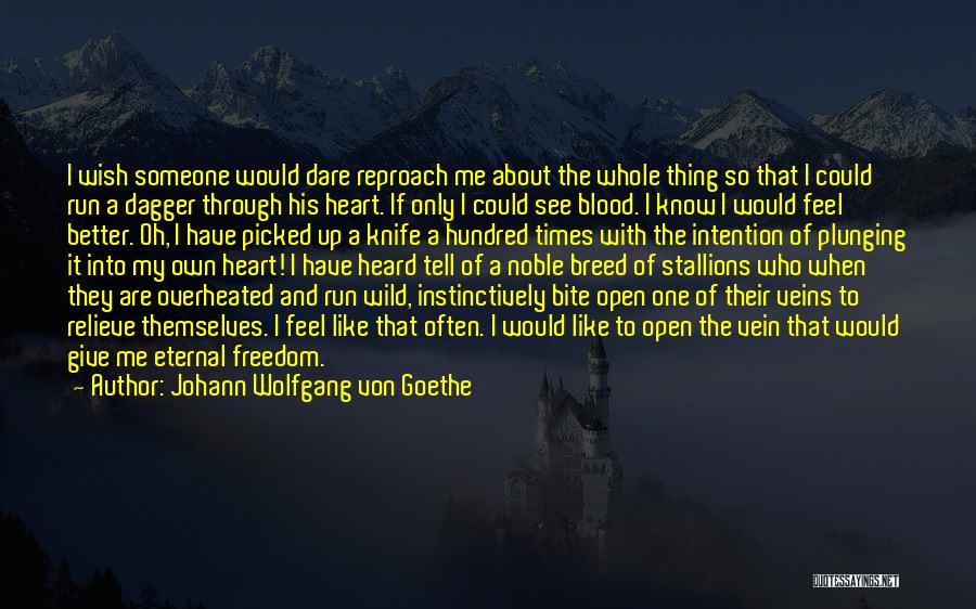 Johann Wolfgang Von Goethe Quotes: I Wish Someone Would Dare Reproach Me About The Whole Thing So That I Could Run A Dagger Through His