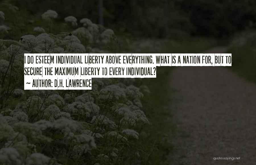D.H. Lawrence Quotes: I Do Esteem Individual Liberty Above Everything. What Is A Nation For, But To Secure The Maximum Liberty To Every