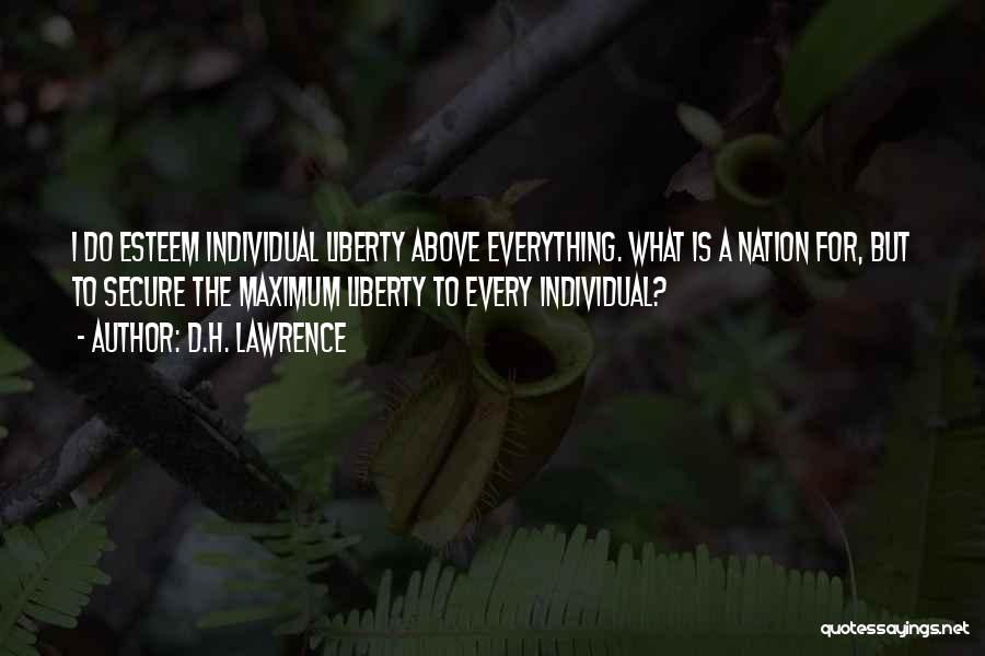D.H. Lawrence Quotes: I Do Esteem Individual Liberty Above Everything. What Is A Nation For, But To Secure The Maximum Liberty To Every