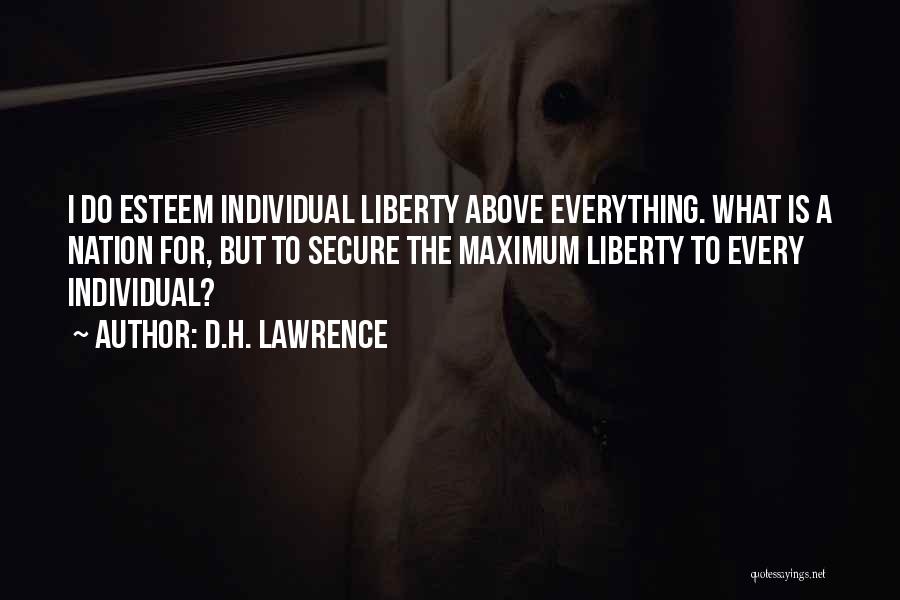 D.H. Lawrence Quotes: I Do Esteem Individual Liberty Above Everything. What Is A Nation For, But To Secure The Maximum Liberty To Every