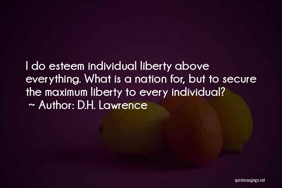 D.H. Lawrence Quotes: I Do Esteem Individual Liberty Above Everything. What Is A Nation For, But To Secure The Maximum Liberty To Every