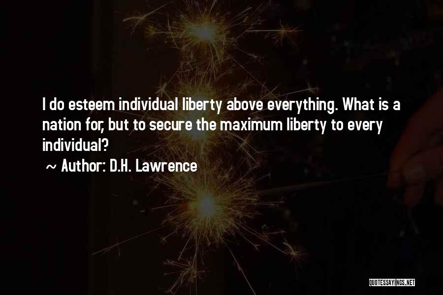 D.H. Lawrence Quotes: I Do Esteem Individual Liberty Above Everything. What Is A Nation For, But To Secure The Maximum Liberty To Every