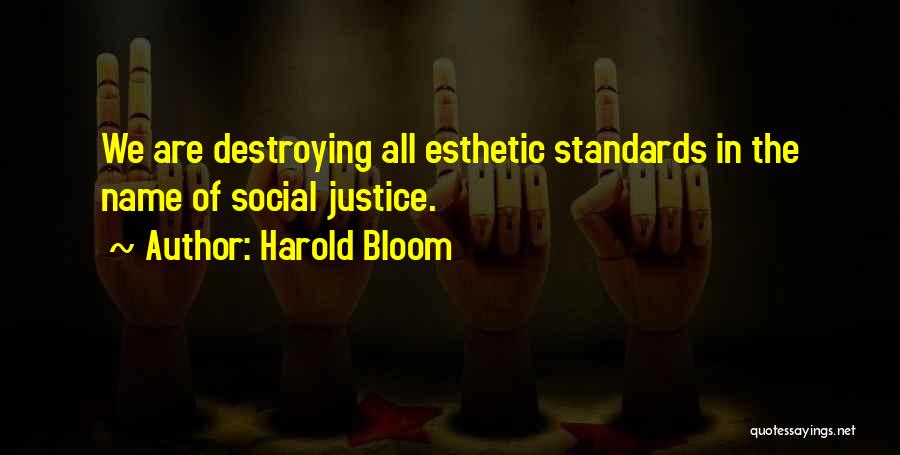 Harold Bloom Quotes: We Are Destroying All Esthetic Standards In The Name Of Social Justice.