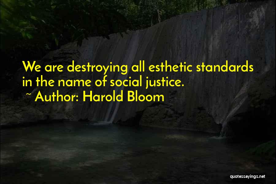 Harold Bloom Quotes: We Are Destroying All Esthetic Standards In The Name Of Social Justice.