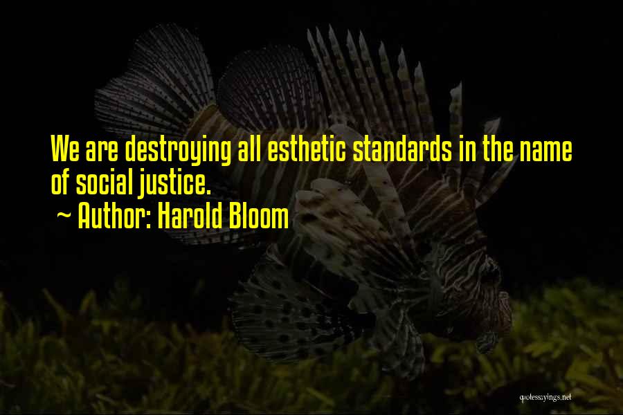 Harold Bloom Quotes: We Are Destroying All Esthetic Standards In The Name Of Social Justice.