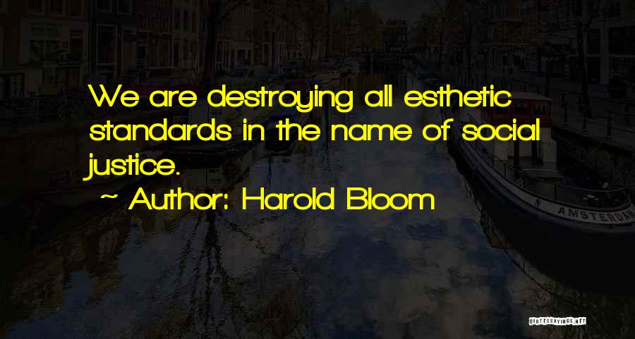 Harold Bloom Quotes: We Are Destroying All Esthetic Standards In The Name Of Social Justice.