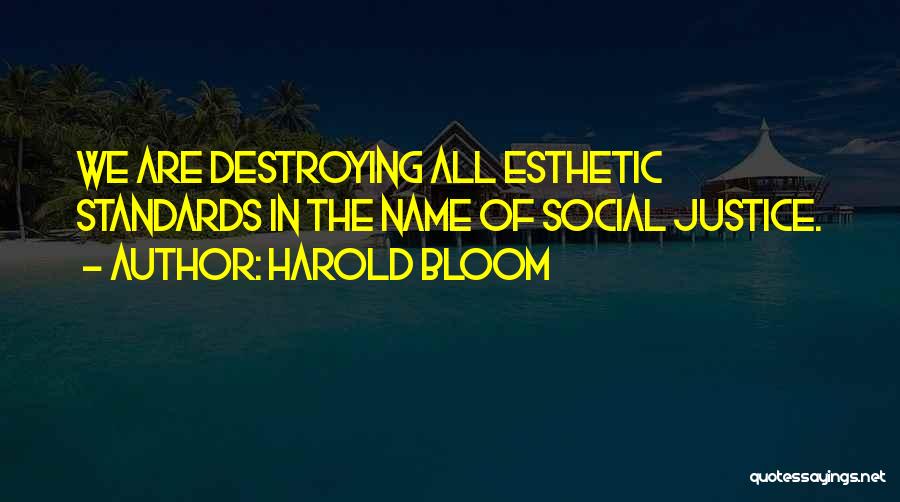 Harold Bloom Quotes: We Are Destroying All Esthetic Standards In The Name Of Social Justice.