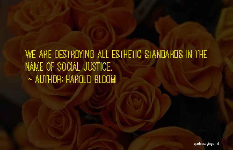 Harold Bloom Quotes: We Are Destroying All Esthetic Standards In The Name Of Social Justice.