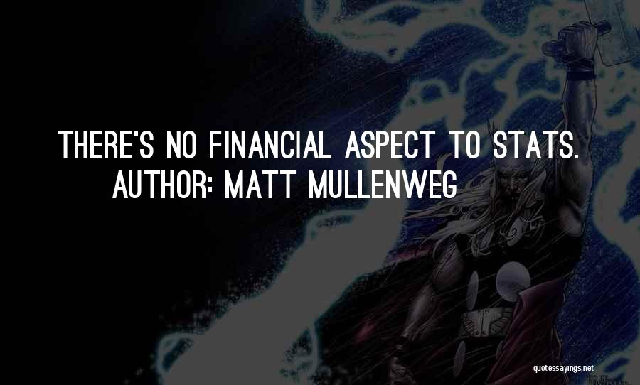 Matt Mullenweg Quotes: There's No Financial Aspect To Stats.