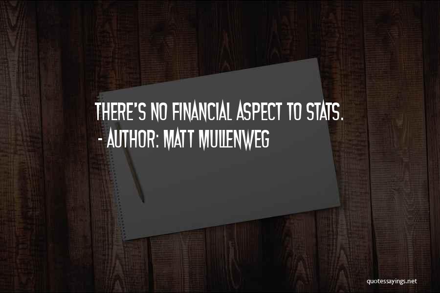 Matt Mullenweg Quotes: There's No Financial Aspect To Stats.
