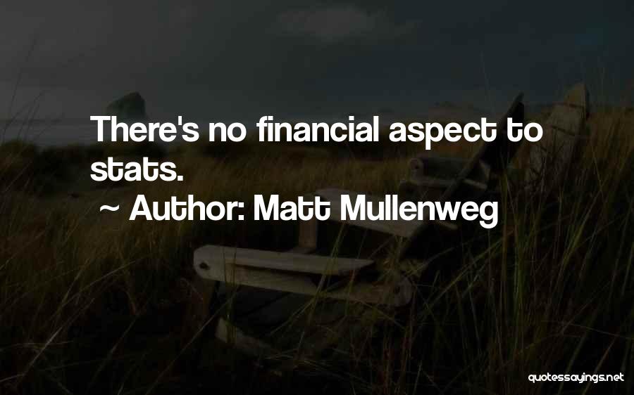 Matt Mullenweg Quotes: There's No Financial Aspect To Stats.