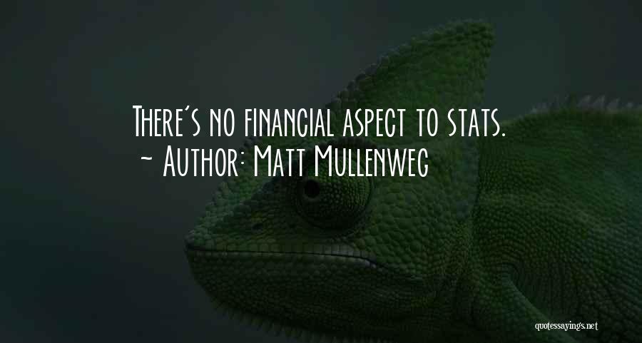 Matt Mullenweg Quotes: There's No Financial Aspect To Stats.