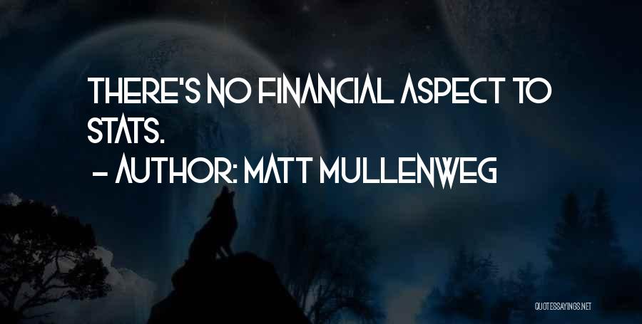 Matt Mullenweg Quotes: There's No Financial Aspect To Stats.