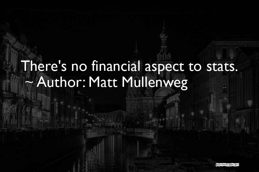 Matt Mullenweg Quotes: There's No Financial Aspect To Stats.