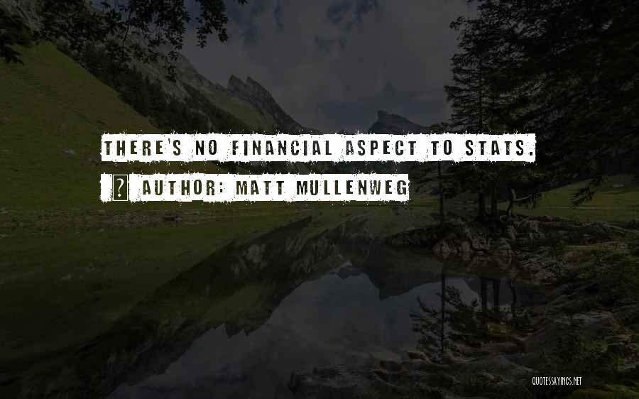 Matt Mullenweg Quotes: There's No Financial Aspect To Stats.