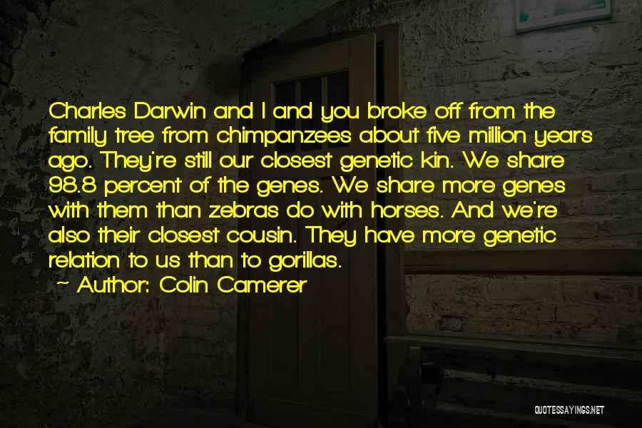 Colin Camerer Quotes: Charles Darwin And I And You Broke Off From The Family Tree From Chimpanzees About Five Million Years Ago. They're